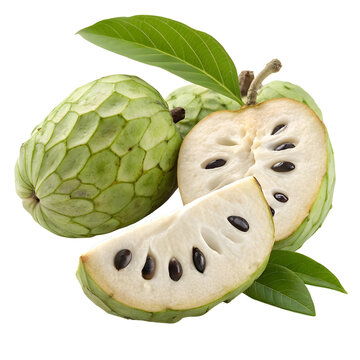 cherimoya fruit