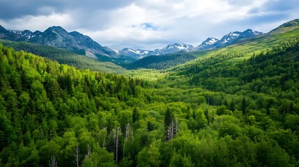 Obraz premium Aerial view of lush green forest mountains under a beautiful cloudy sky backdrop : Generative AI