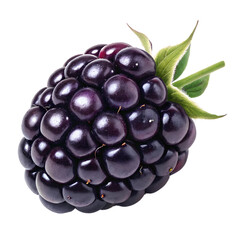 blackberry fruit