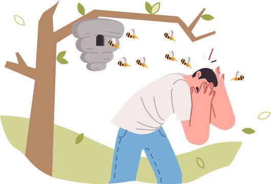 Swarm of bees attacks man who comes close to nest hanging on tree or touches hive. Swarm of bees bites guy, causing allergic reaction and forcing to cover face with hands, trying to save
