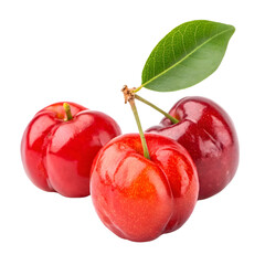 cherry fruit