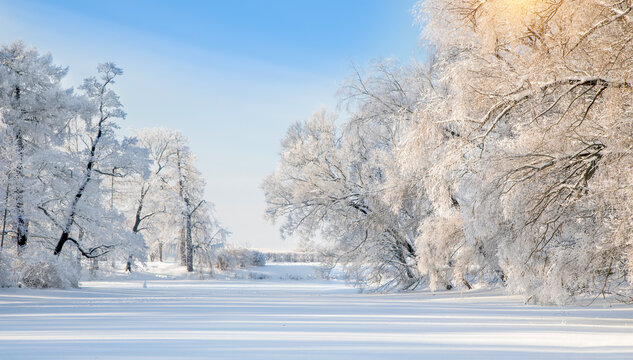 Panorama of beautiful winter park