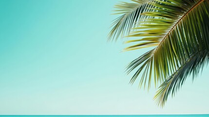 Fototapeta premium Lush tropical palm leaves swaying in the breeze on a sunny beach