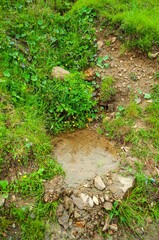 Obraz premium A small muddy stream flows through the rocks and green vegetation into a shallow pool.