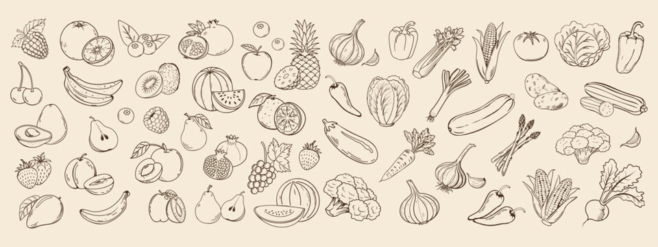 Set of sketch vegetables and fruits. Collection of hand drawn farm products for restaurant menu, market label. Retro style illustration sketch