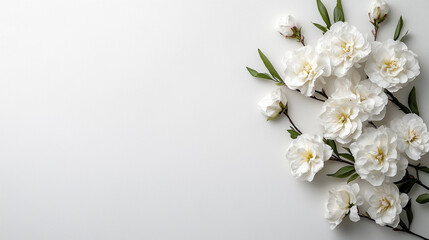 A delicate arrangement of white blossoms decorates a soft, minimalist background, creating a peaceful and elegant design.