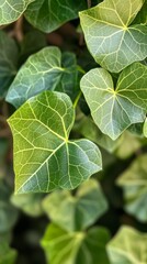 Detailed Close-Up of Cracked Green Surface With Golden Accents Highlighting Unique Textures and Patterns in Natural Materials