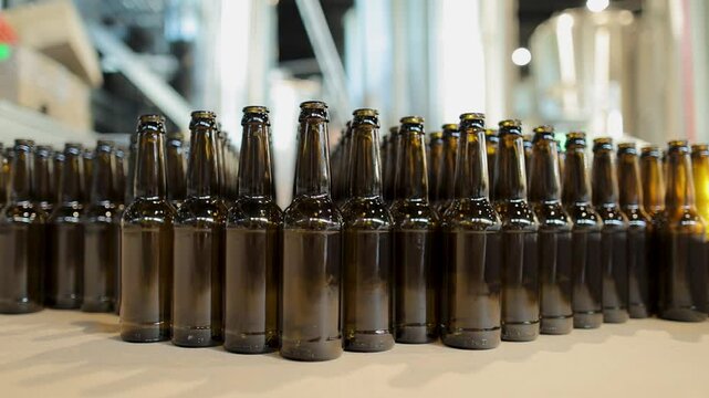 Dozen bottlenecks of brown glass bottles in craft beer factory