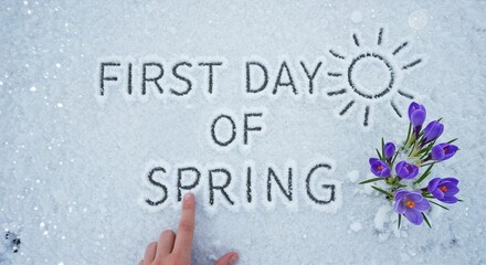"First day of spring" a message written in the snow next to the first beautiful blooming crocuses, top view