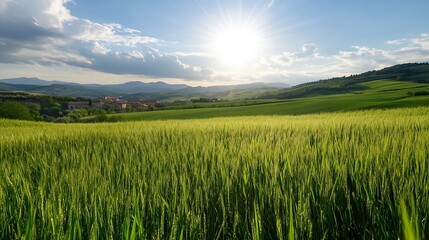 Golden sunlight illuminating a vast green field with wheat under a beautiful blue sky : Generative AI