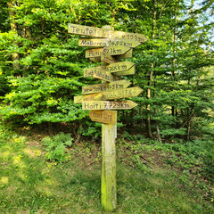 A Directional Signpost Standing Tall in the Middle of a Lush Green Forest Paradise Deister Bad...