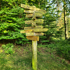 A Stunningly Beautiful Wooden Directional Signpost Surrounded by Vibrant Lush Nature and Greenery Deister Bad Nenndorf