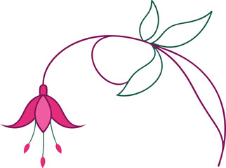 Beautiful Fuchsia Outline – Botanical Line Art Vector