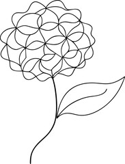 Minimalist Hydrangea Line Drawing Vector Illustration