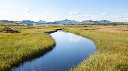 Obraz premium Serene river meandering through grassy wetlands, mountain backdrop; idyllic nature scene