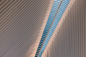 Naklejka premium Architectural pink and blue lines.