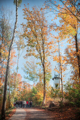 Obraz premium Historic Wernigerode with Autumn Charm