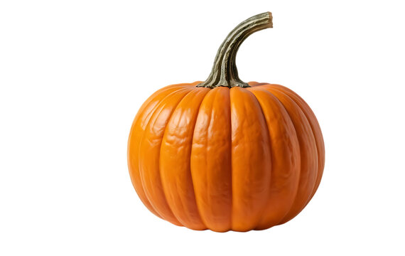 orange pumpkin with a greenish-brown stem isolated on transparent or white background