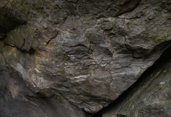 Natural variety found in a rocky forest; the Fontainebleau forest, in France.