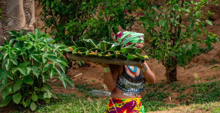 An Ember&aacute; woman carries a tray of food consisting of fried fish and plaintains served on babana leaves, Parar&aacute; Puru village, Chagres National Park, Panama