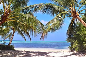Fototapeta premium Tropical beach with white sand, turquoise water and palm trees in maldives