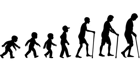 Life cycles of woman from a little baby to senior woman silhouette vector illustration