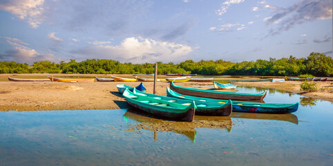 Traditional fishing canoes sitting idle in low tide in the mangroves of La Boquilla, a traditional fishing village near Cartagena, Colombia