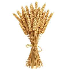 Isolated Golden Wheat Sheaf Tied with Rustic Twine