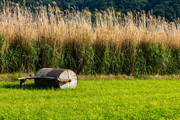 Iron baltic roller for leveling near a wheat field
