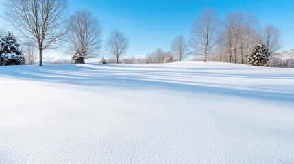 Obraz premium Snowy field, winter trees, sunny day, mountains background, winter landscape