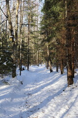 The last days of winter