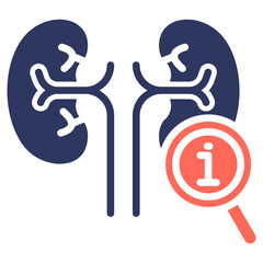Kidney Function glyph color icon