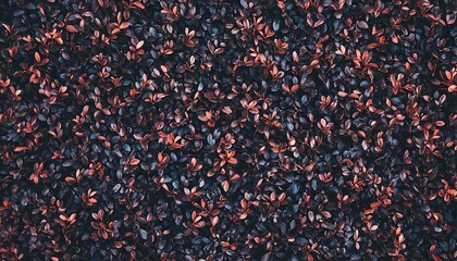 A detailed view of multiple small plant leaves pattern