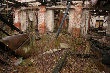 An old building where a fire occurred long ago. Inside, young trees have grown