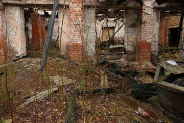 An old building where a fire occurred long ago. Inside, young trees have grown