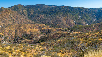 Mammutbäume in Sequoia Nationalpark