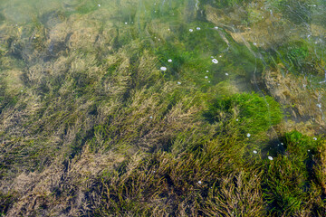 Wanderung an der renaturierten Isar nahe Landau