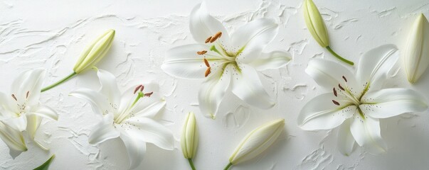 Elegant white lilies on textured surface with buds