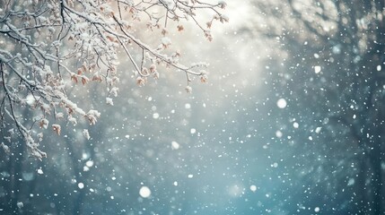 Enchanted Winter Forest Landscape Magical Snow Covered Pine Trees with Gentle Snowfall and Misty Morning Light Creating Dreamy Atmosphere