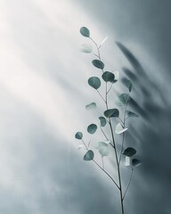 Modern Botanical Still Life with Fresh Eucalyptus Leaves Arrangement on Light Gray Background with Soft Shadows