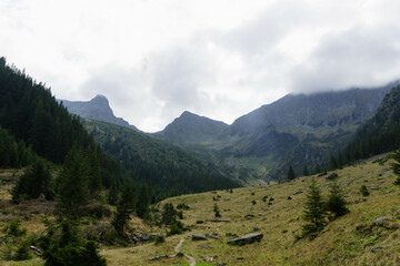 Fototapeta premium high peaks mountain landscape with clouds and pine trees on different lights and shades