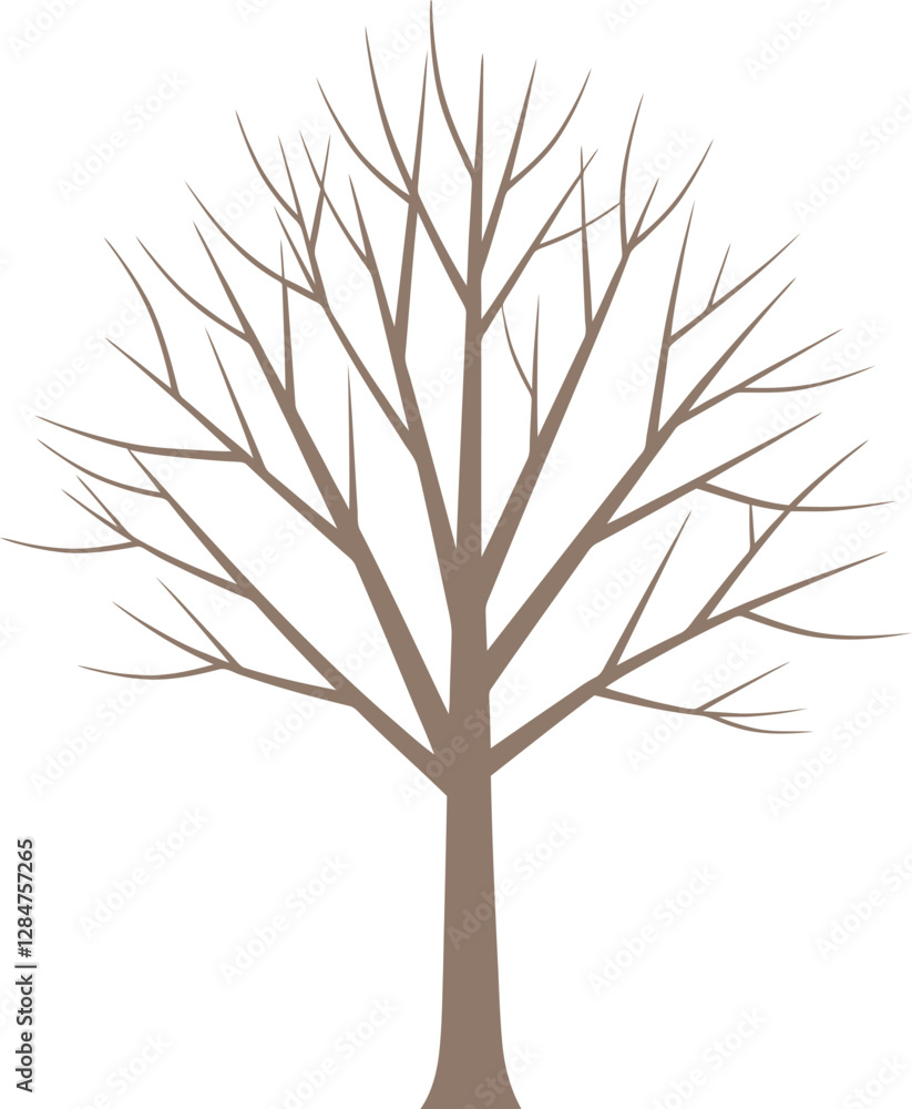 Poster a detailed representation of a barren tree with intricate branches in a minimal design style showcas