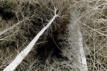 Negative, frightening image. Winter idyll in the nature of forests and fields. Farmland and forest in winter and early spring. Hibernation and climate change, landscape in Europe and Germany