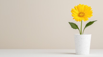 Yellow flower in white vase on beige background.  Possible use  Desktop wallpaper, website banner