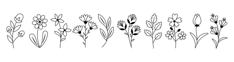 Set of black and white linear botanical illustrations of flowers and plants. Various Wildflowers and Leaves. For Coloring Pages, Botanical Designs, Wedding Invitations, Spring Nature-Themed Projects