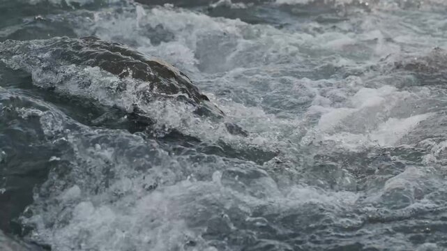 Fiume di montagna