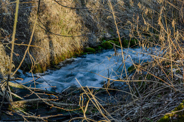 Wanderung an der renaturierten Isar nahe Landau