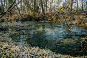 Wanderung an der renaturierten Isar nahe Landau