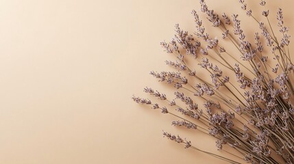 Dried Lavender Bouquet on Beige Background Soft Pastel Floral Arrangement