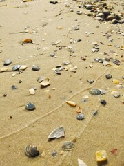 footprints on the beach